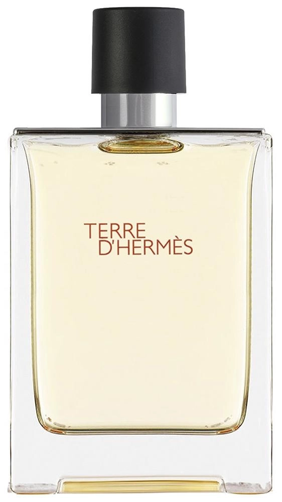 Hermès Terre d'Hermes за Мъже EdT 100 ml