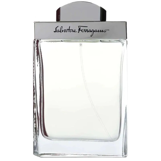 Salvatore Ferragamo Salvatore Ferragamo 100 ml За Мъже