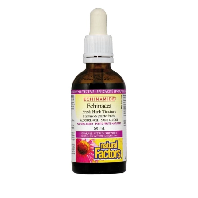 Natural Factors Простуда и грип Echinamide® - Тинктура с ехинацея, 50 ml (без алкохол)