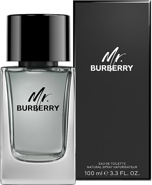 Burberry Mr. Burberry 100 ml за Мъже