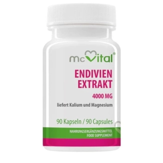 Vitabay Храносмилане - Екстракт от Ендивия, 90 капсули