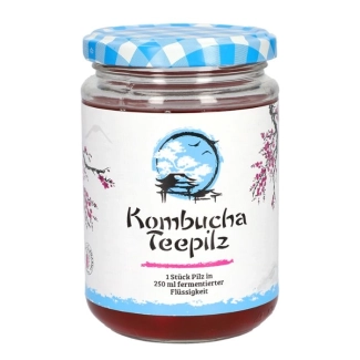 Gall Pharma Подсилва имунитета - Комбуча Чаена гъба с ферментирал плодов чай, 200 ml